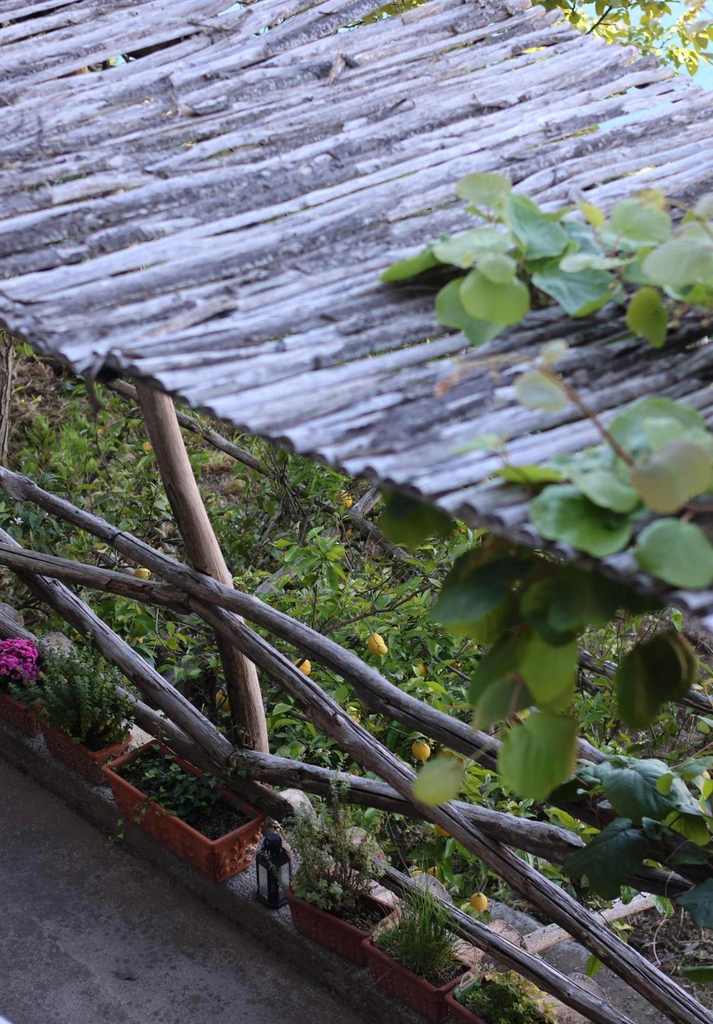 Colle Dell'Ara Bed & Breakfast Positano Dış mekan fotoğraf